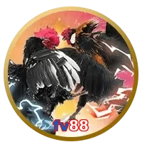 fv88
